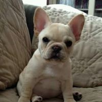 Profile Picture of Petra James (@petra-james-4) on Quora