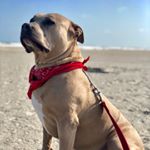 Profile Picture of Tony Sauceda (@tmoney090) on Instagram