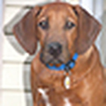 Profile Picture of Dave&Cath (@Dave&Cath) on Flickr