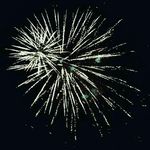 Profile Picture of shawn (@shawnamizer) on Instagram