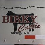 Profile Picture of Joe Birky (@joebirky) on Instagram