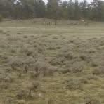 Profile Picture of Tyler Bown (@Tyler-Bown) on Facebook