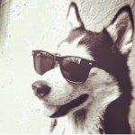 Profile Picture of andy (@andrewlyles11) on Instagram