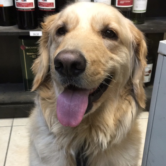 Profile Picture of Rong rong Jiang (@rongrongj) on Poshmark