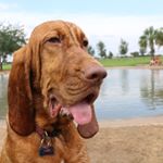 Profile Picture of Timothy Adair (@zekeadair) on Instagram