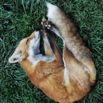 Profile Picture of Camille Jaeha Kim (@camille_jkim) on Twitter