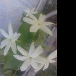 Profile Picture of dawn_penaq (@dawn_penaq) on Instagram