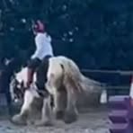 Profile Picture of Amelia Crozier (@Amelia-Crozier) on Facebook