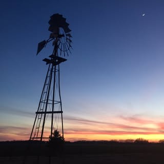 Profile Picture of shellygraves (@shellygraves) on Instagram