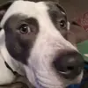 Profile Picture of Josh schmidt (@josh.schmidt) on Tiktok