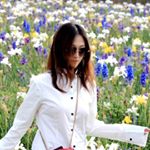 Profile Photo of Elaine (@elainechen64) on Instagram