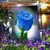 Profile Picture of Jeff Derby Marcellus (@jeffderby.marcellus.9) on Facebook