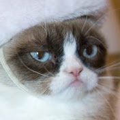 Profile Picture of Lori Holt (@loriholt8521) on Youtube