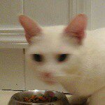 Profile Picture of Jackson Edward OKonek (@okonekj) on Instagram