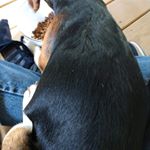 Profile Picture of Aaron LeBlanc (@aaron_6272) on Instagram