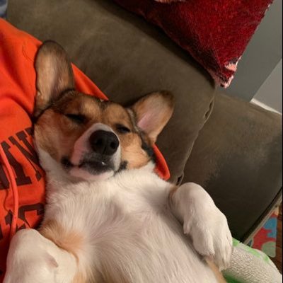 Profile Picture of Chris Petruccelli (@cpets85) on Twitter