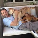 Profile Picture of Todd Tomlinson (@todd2zrescue) on Instagram