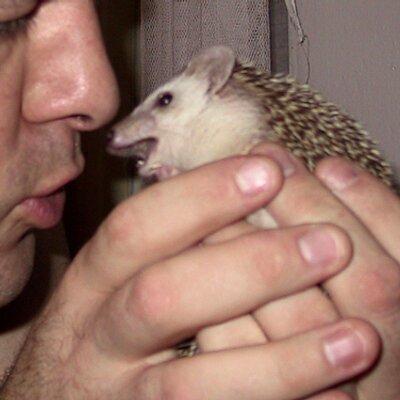 Profile Picture of Bradley Getter (@@Baddbrad) on Twitter
