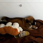 joseph naso - Instagram Profile Picture of joseph naso (@naso597) on Instagram