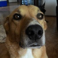 Basil Murphy - Quora Profile Picture of Basil Murphy (@basil-murphy-1) on Quora