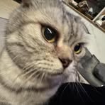 Profile Picture of Jason Wong (@Jason-Wong) on Facebook