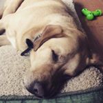 Profile Picture of Stacy (@stacydunham23) on Instagram