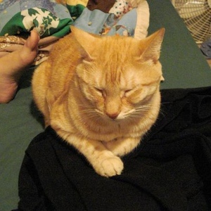 Profile Picture of Gus Stanley (@415250009) on Myspace