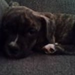 Profile Picture of Gerald Haley (@gerald_haley) on Instagram
