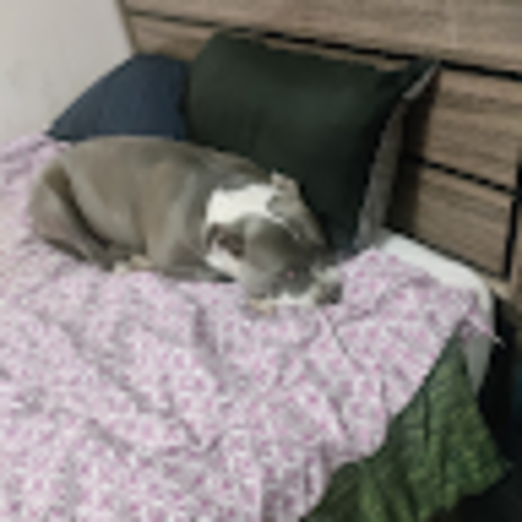 Profile Picture of Aaron David (@ad9621360) on Poshmark