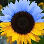 Profile Picture of James Fahrney Jr. (@jamesfahrney) on Instagram