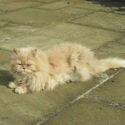 Wes B - Twitter Profile Picture of Wes B (@JayBut707) on Twitter