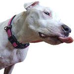 Stuart Paul - Instagram Profile Picture of Stuart Paul (@stuart.paul.7) on Instagram