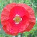 Profile Picture of Stephen Blatch (@stephen.blatch.9) on Facebook