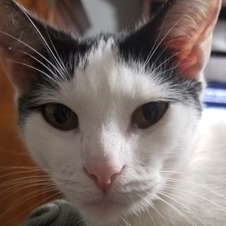 Profile Picture of GMa Templeman (@gma.templeman) on Facebook