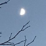 Profile Picture of Kate Washington 🇺🇸 (@kate_everett_ru) on Instagram