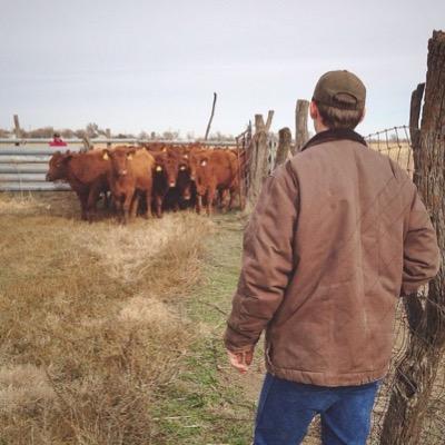 Profile Picture of Scott Gore (@ScottGore) on Twitter