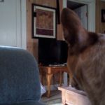 Profile Picture of Eugenia Plaskie (@plaskieeugenia) on Instagram