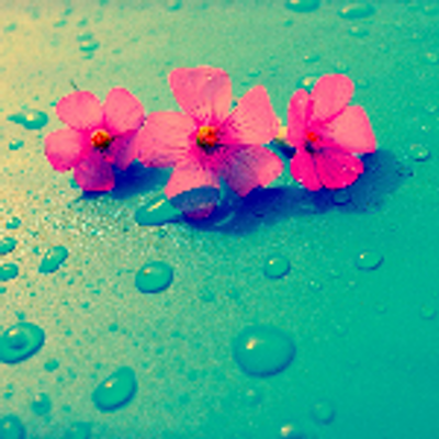 Profile Picture of Amir Hossein Fathi (@amirfathi1379) on Twitter