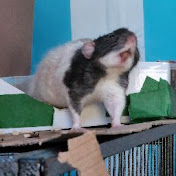 Profile Picture of Felix Smith (@felixsmith1093) on Youtube