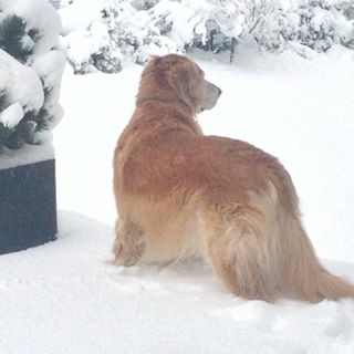 Profile Picture of Andrea Powers Schankman (@andrea.schankman) on Facebook