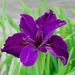 Profile Picture of Lisa Claytor (@lclaytor) on Pinterest