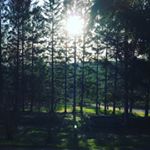 Profile Picture of aaron_keyser02 (@aaron_keyser02) on Instagram