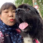 Profile Picture of Jeff Jackson (@jkjacksonart) on Instagram