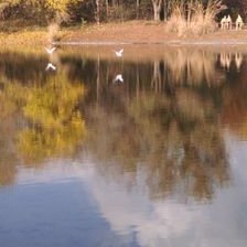 Masoud Kazemi - Twitter Profile Picture of Masoud Kazemi (@MasoudKa6) on Twitter