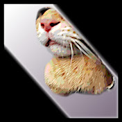 Profile Picture of Jon Patch Modular (@jonpatchmodular) on Youtube