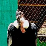 Profile Picture of Jeff Popham (@jeff.popham) on Instagram