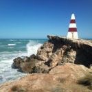 Profile Picture of Fiona Moore (@yoni1411) on Pinterest