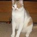 Profile Picture of Beverly Burton (@burtonsong) on Pinterest