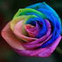 Profile Picture of Cheresa L. Calhoun (@@cheresalcalhoun) on Tiktok