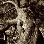 Hearn - Instagram Profile Picture of Hearn (@hearnbudwort) on Instagram